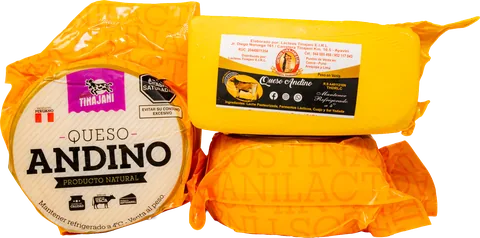 Queso andino